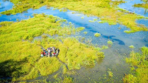 Aerial View of Wetlands